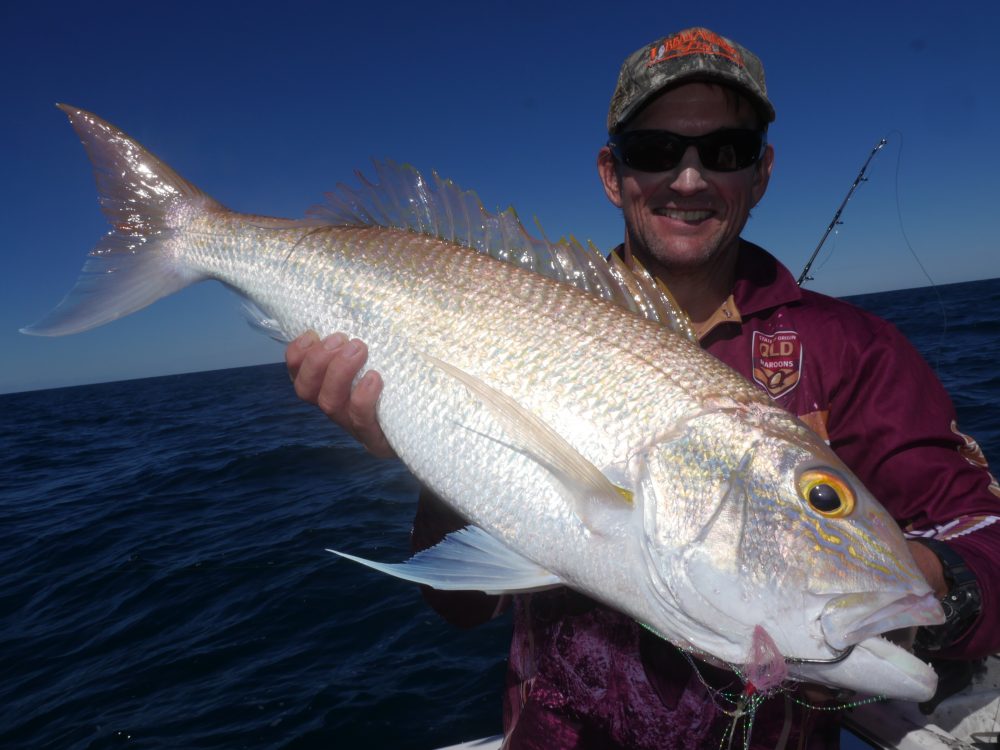 Tigers Snapper Rig – ELKAT FISHING AUSTRALIA