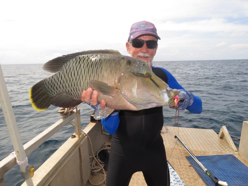 Strikingly beautiful Maori wrasse love soft plastics almost as much as they like destroying tackle. Dave managed to wrangle this ‘smaller’ model but continually loses gear to its larger cousins. 