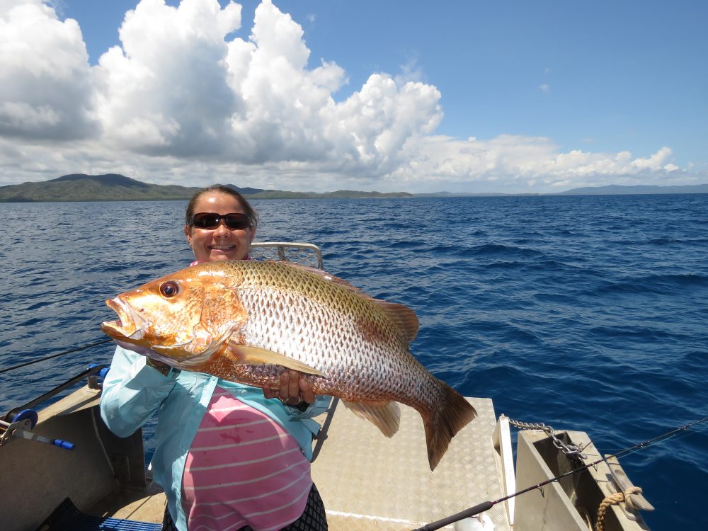 These Fish Kept me very Busy! Snapper Fishing by catch Catch