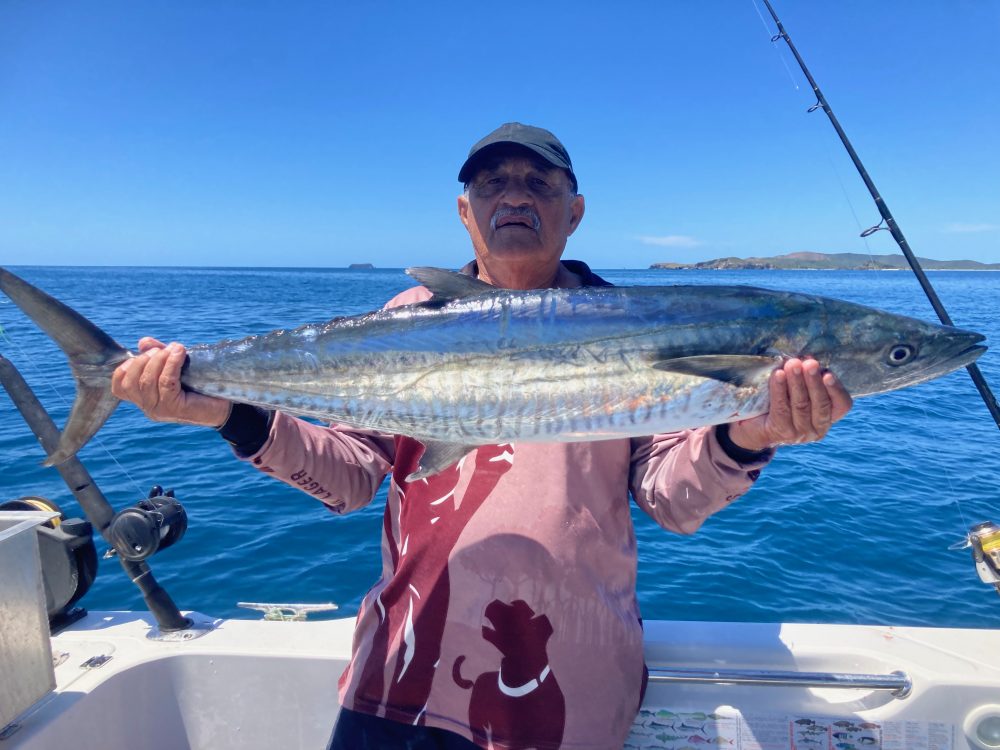Guy Pirrone of Yeppoon with a 10.5kg Conical island Spanish mackerel. Note the lack of slime on the fish. The fish were heading south and had stopped over for a feed the previous day.