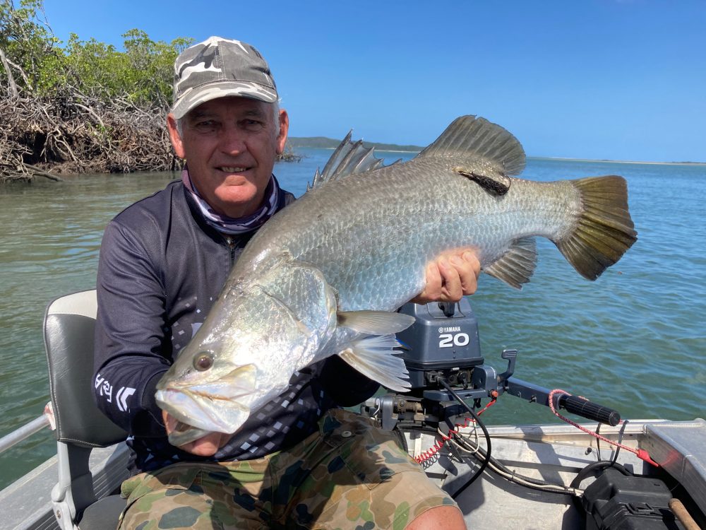 Fishing the afternoon ebb tide at Greenslopes – a live bait; Dobyns rod and an 81cm barra. Note the weed covered tag from a previous capture