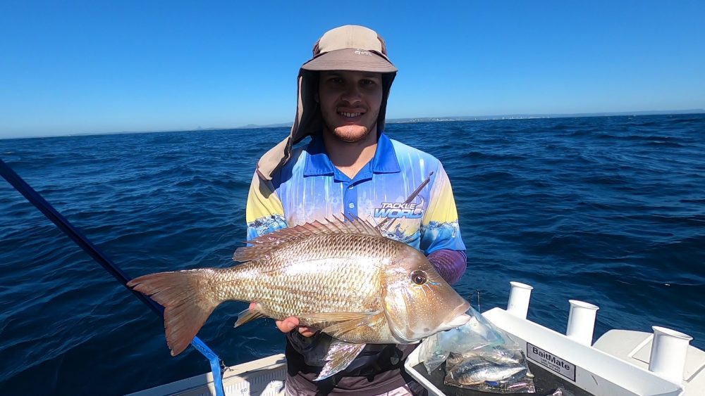 With their large tails and muscular build, it’s easy to see how grassy sweetlip can manage to put up a fun fight while trying to bust you off on the reef! The author landed this fish on a shallow reef on the Sunshine Coast.