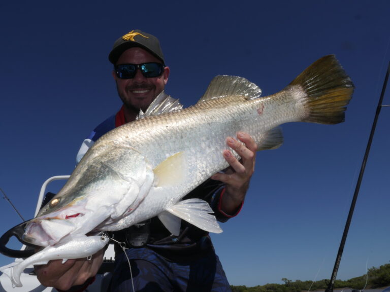 The Rocky NFZ barra population gives the Herculez swim bait the thumbs up.