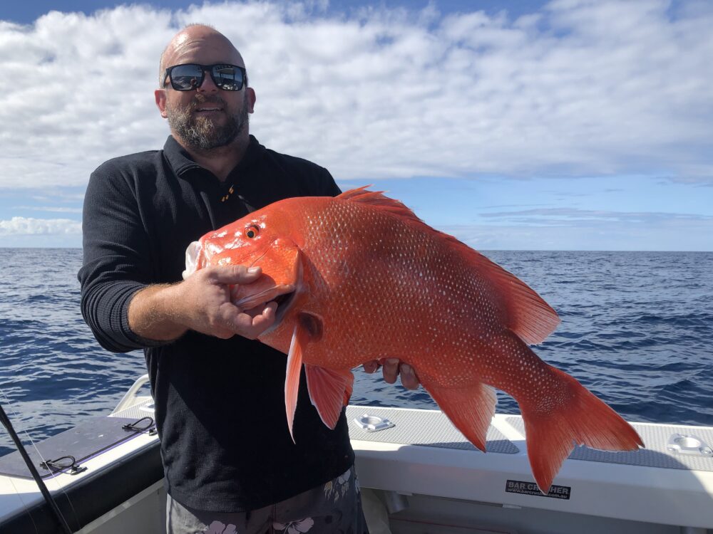 Typical 1770 red emperor caught by Dan Gallo.