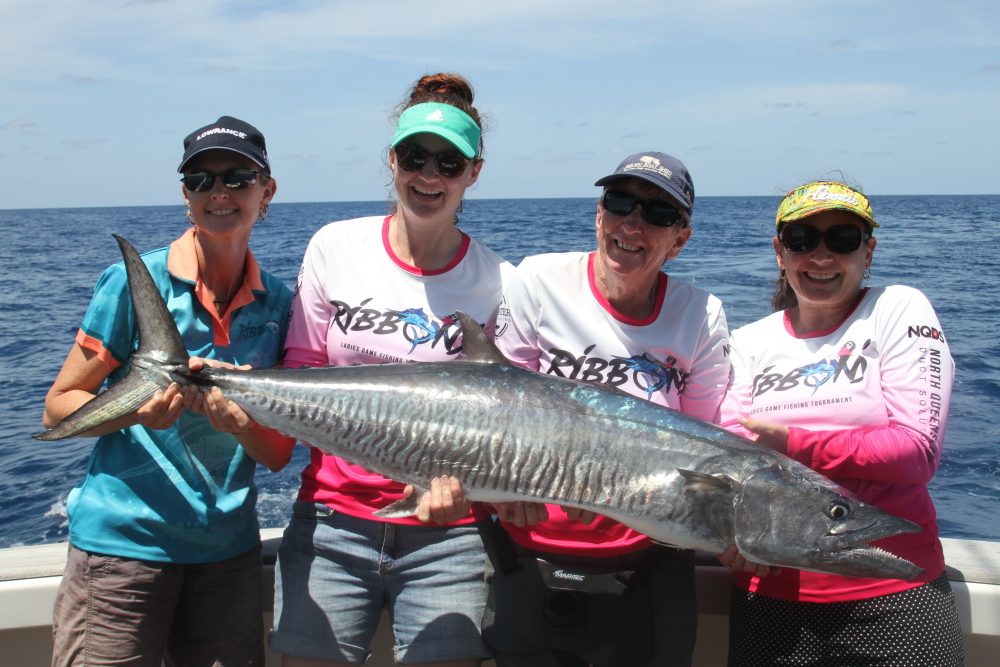 Finding big Spanish mackerel is all about finding the best bait.