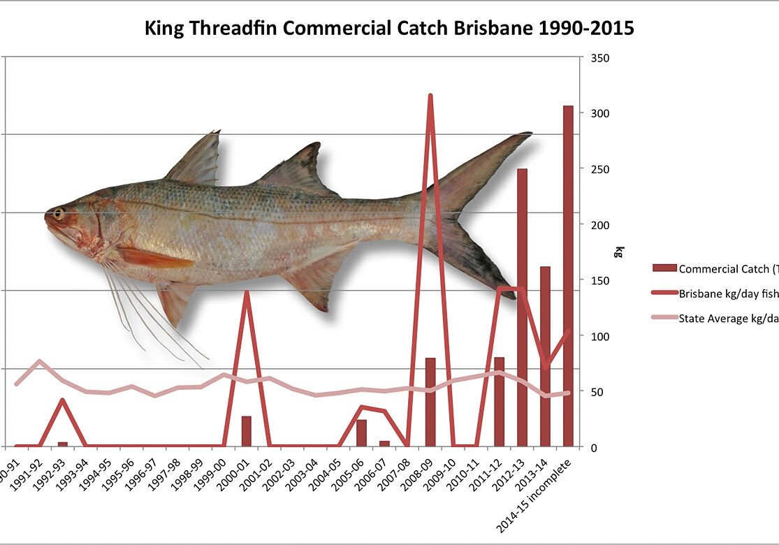 Graph: Commercial Catch History – Brisbane River