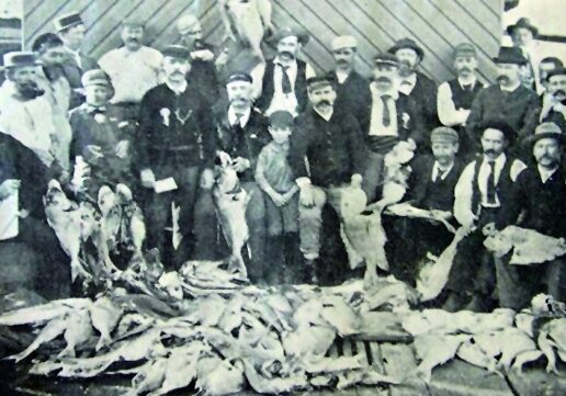 "They weren't really on the chew today but not a bad day out nevertheless...” - Catch from a snapper fishing trip on the steam ship Tarshaw, south-east QLD around 1900.  Source Welsby (1905) extracted from Thurstan and co-authors 2014 Historic catch rates for snapper.