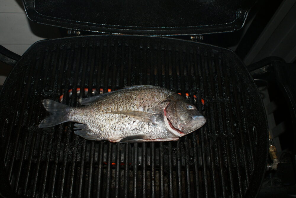Place the seasoned fish directly on the grill bars.