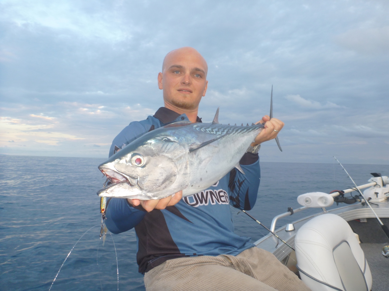 Tuna: sport, bait or a table fish? - Fish & Boat Magazine