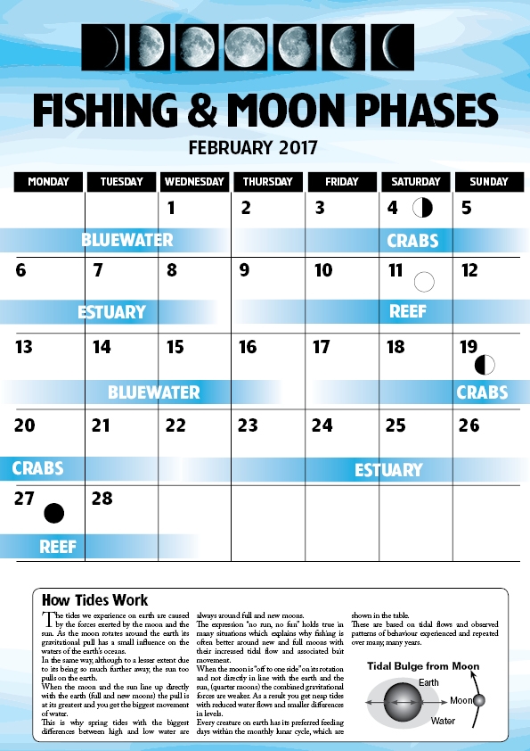 February Tide & Moon Phase Charts Fish & Boat Magazine