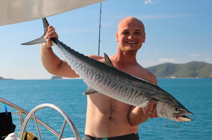 How to make your own Spanish mackerel fishing rig using gang hooks 