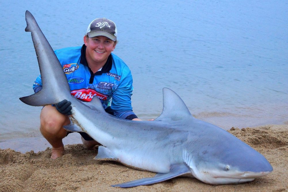 Caption: Bull Sharks aren’t just a southern river option; Keegan Hayden caught this monster in the Pioneer River in the heart of Mackay.  It took a whole tarpon bait. (Keegan Hayden Image)