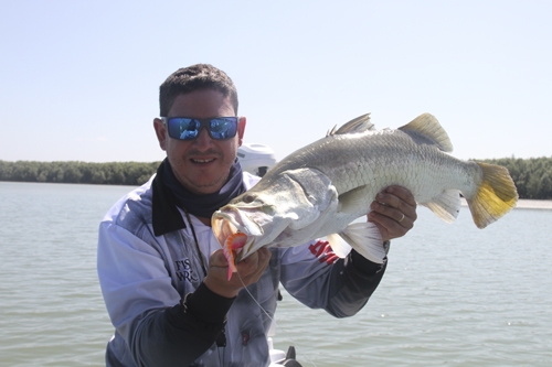 Big lure Big Barramundi - Fish & Boat Magazine